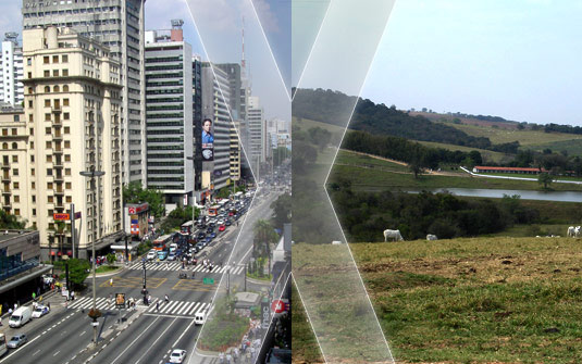 Conexão Campo e Cidade